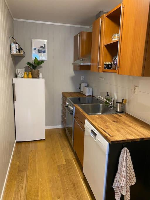 Aurora Apartment Very Close To Cable Car And Sherpatrappa Tromsø Kültér fotó